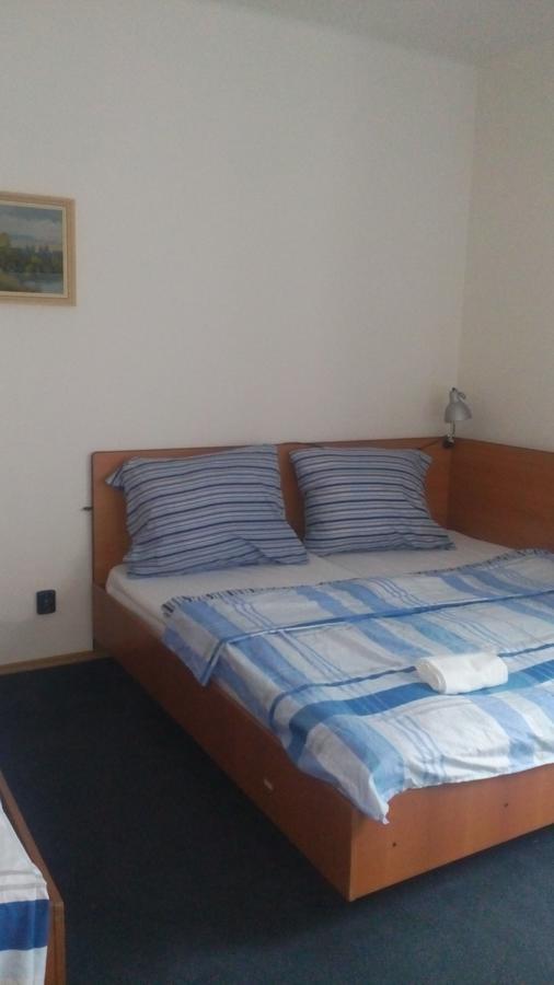 Hotel Britz Velké Hamry Εξωτερικό φωτογραφία